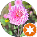 Manohar K profile picture