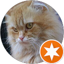 Ig Thk profile picture